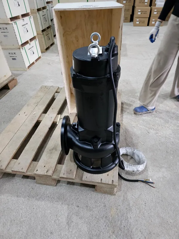 Bơm tõm 750W bơm được bao nhiêu nước, cao bao nhiêu?
