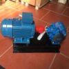 Bơm nhớt bánh răng PEROTAC MRB hàng thực tế – bomtrungkien.com
